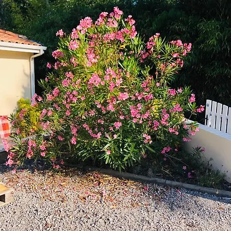 Bed and breakfast Les Hauts De *