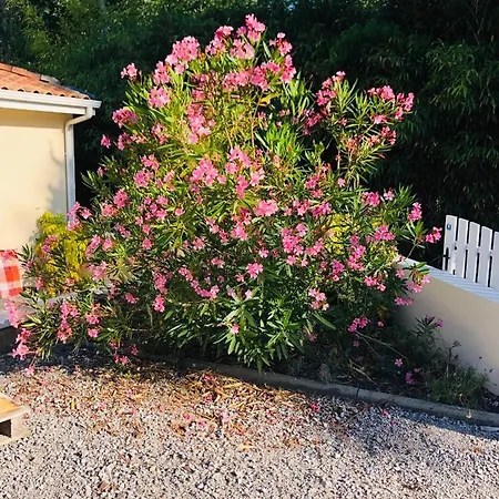 Couette-café Les Hauts De *
